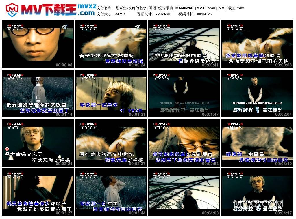 张雨生-玫瑰的名字_国语_流行歌曲_MA505260